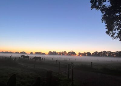 Sonnenaufgang Einzelweiden Gut Tangstedt