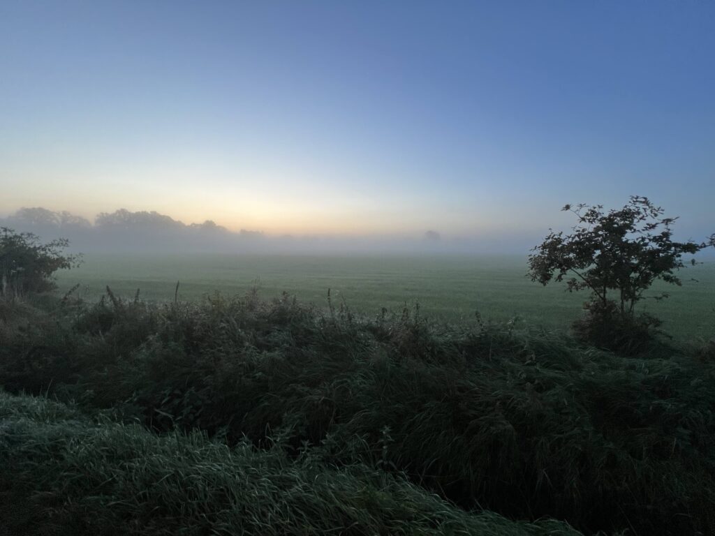 Wiese im Morgennebel Fahrenhorster Weg Tangstedt