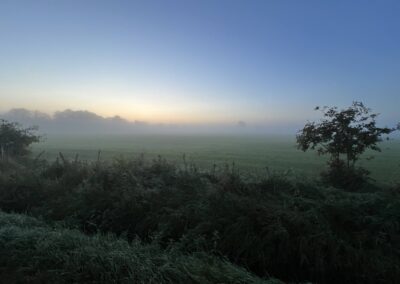 Wiese im Morgennebel Fahrenhorster Weg Tangstedt