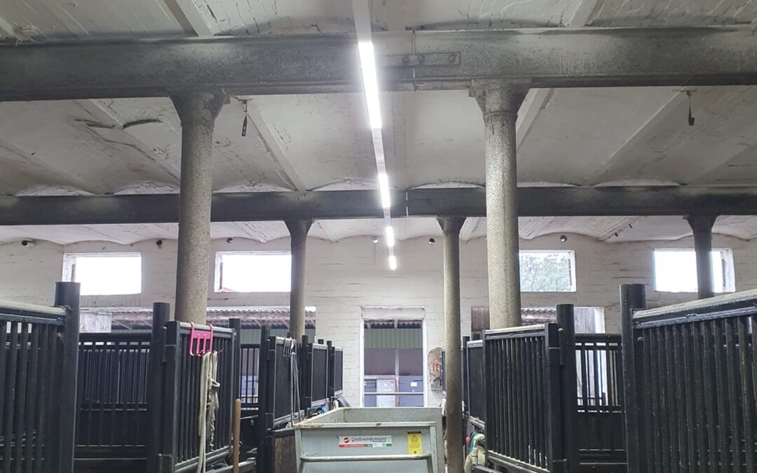 Stallgasse mit Mistkuli Gut Tangstedt