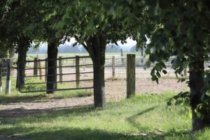 Paddocks Beekmoorweg Tangstedt