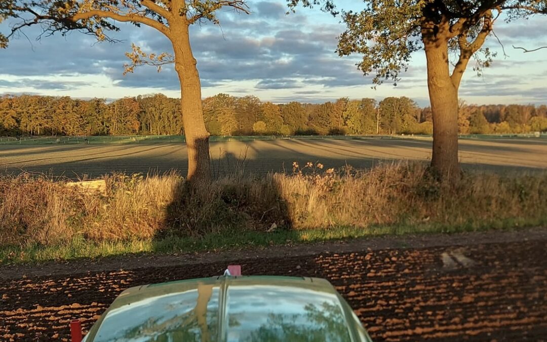 Ackerbau Gut Tangstedt 2023