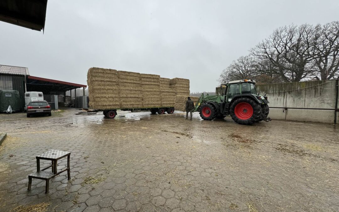Entladung von Quaderballen