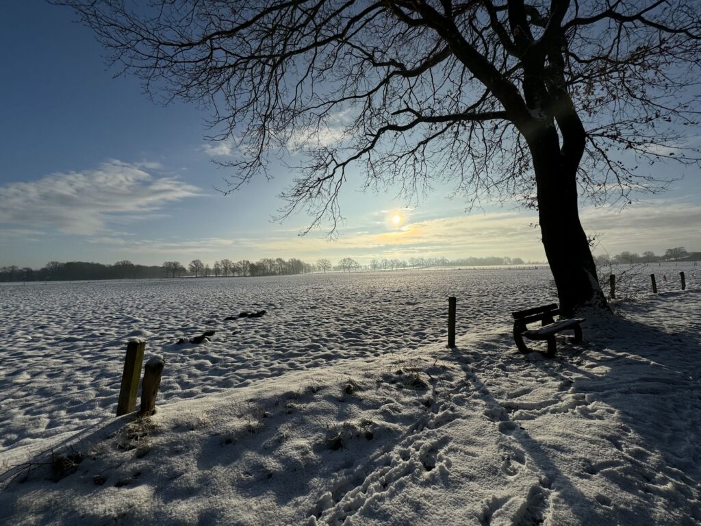 Blick auf winterliche Landschaft bei Gut Tangstedt