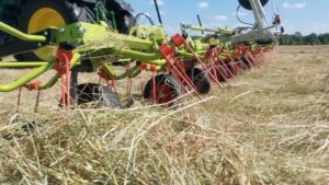 Claas Volto Heuwender auf Koppel Gut Tangstedt