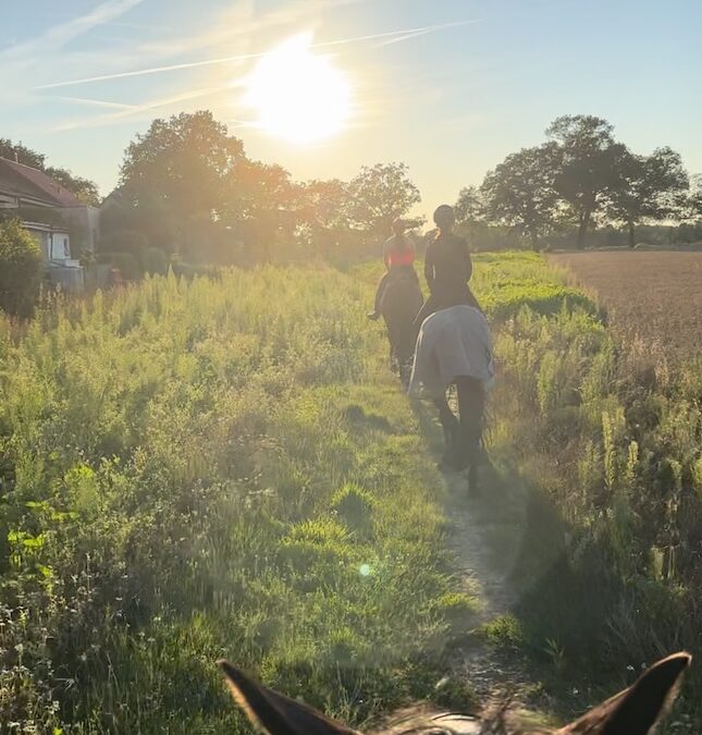 Ausreiten in Tangstedt