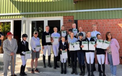 Kompakt-Lehrgang Reitabzeichen Sommer