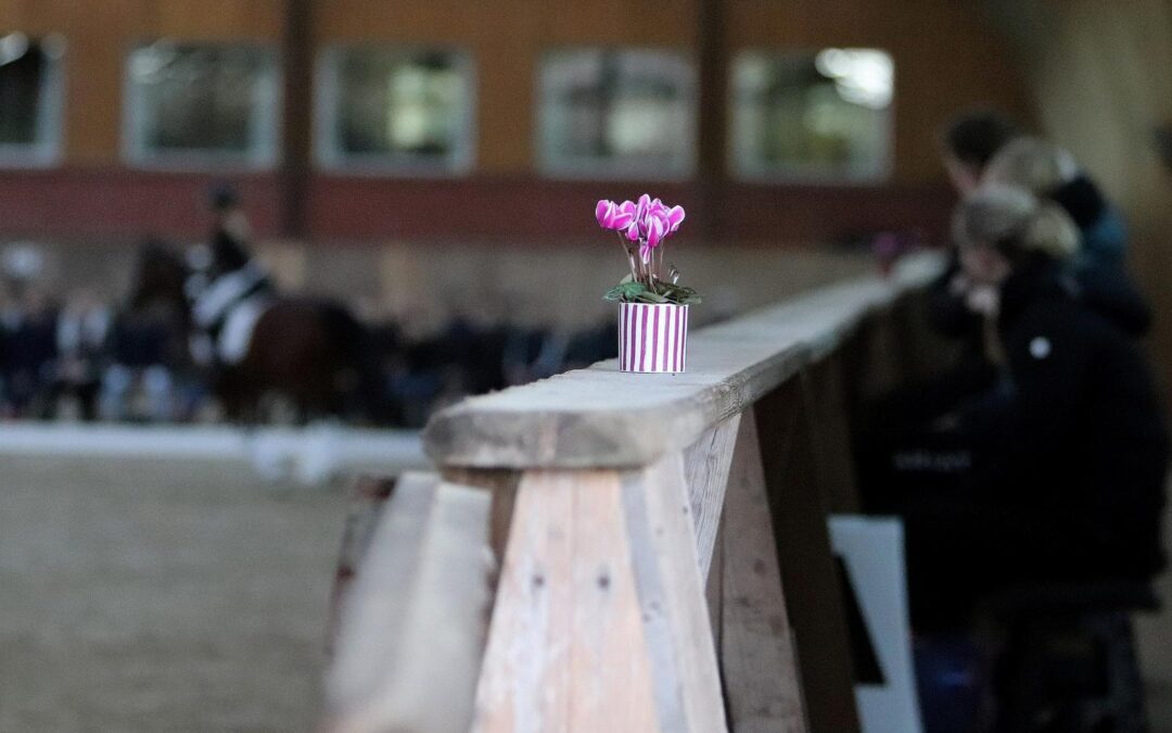 Blümchen auf Band Reithalle Gut Tangstedt