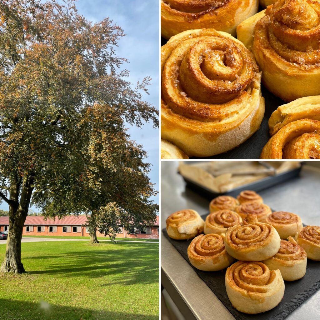 selbstgebackene Zimtschnecken in der Hofküche Gut Tangstedt