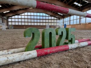 Neujahrsspringen 2025