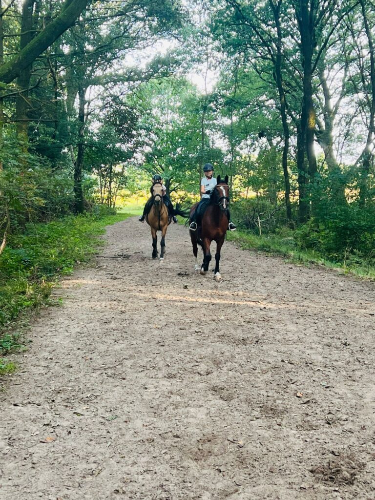 Ausreiten im Wald von Gut Tangstedt