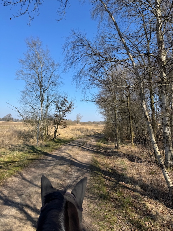 Ausritt über den Beekmoorweg am Golfplatz Wilstedt vorbei