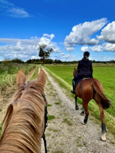 Ausritt Gruppe Feldweg Fahrenhorster Weg