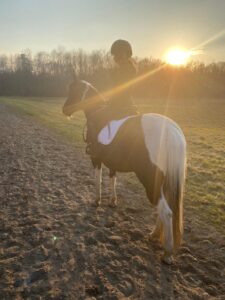 Ausritt mit Pony bei Sonnenuntergang