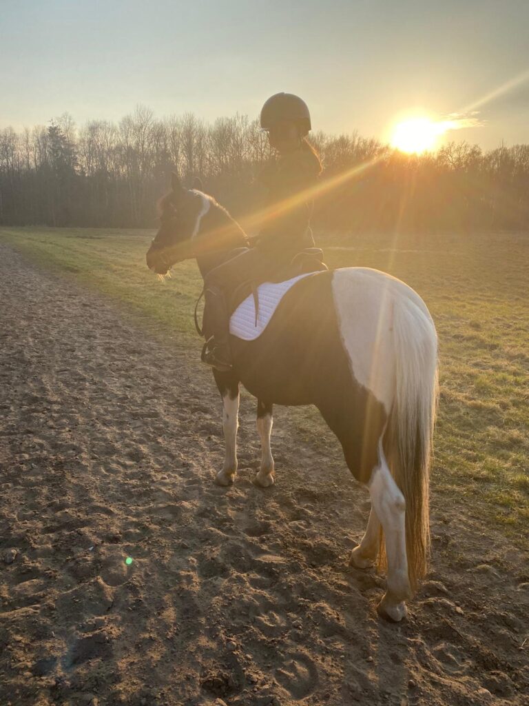 Ausritt mit Pony bei Sonnenuntergang