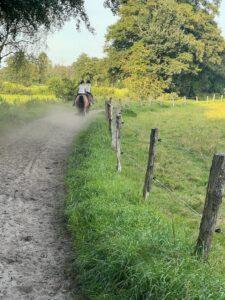 Ausritt über Sandweg am Rand Winterweide