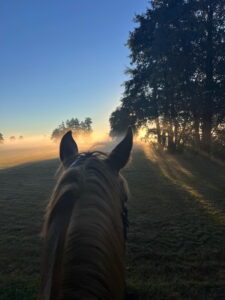 Ausritt Sonnenaufgang im Sommer