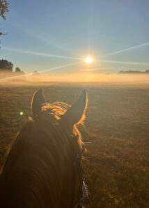 Ausritt Sonnenaufgang im Sommer mit Bodennebel