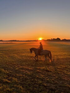 Ausritt auf Wiese im Sonnenaufgang