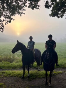 Ausritt in der Gruppe im Morgennebel