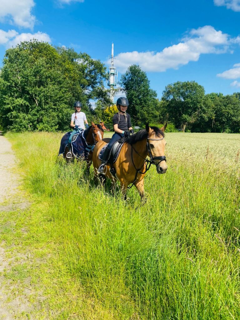 Ausritt über Wiese in der Nachbarschaft von Gut Tangstedt
