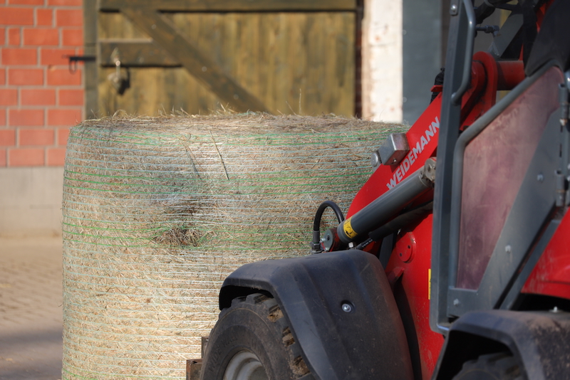 Heuballen werden mit einem Weidemann Hoflader zur Fütterung aufgelegt