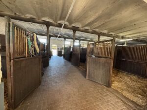 Blick in eine breite Stallgasse für Pferde