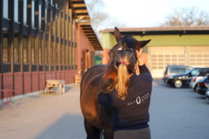 Einstellerin mit Gut Tangstedt Pullover schmust mit ihrem Pferd