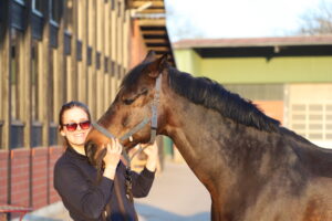 Einstellerin kuschelt ihr Pferd auf unserem großen Parkplatz