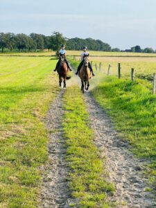 Galopp über Feldweg bei Ausritt von zwei Mädchen