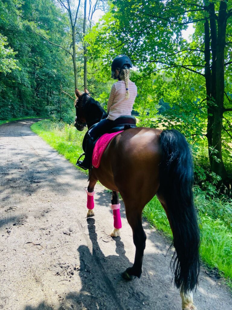 Mädchen reitet auf Pferd im Beekmoorweg