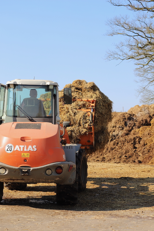 Pferdemist auf der Mistplatte wird mit Radlader aufgeschoben