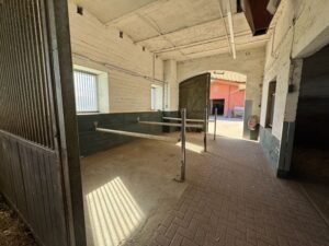 Putzplatz 1 im Kuhstall mit dreiAnbindeplätzen für Pferde