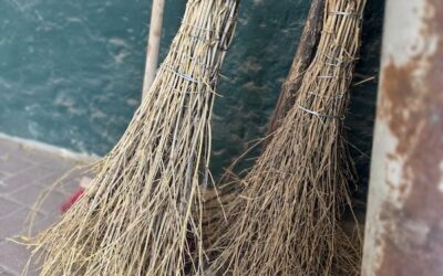 Stallkräfte (m/w/d) für Reitanlage gesucht (VZ/TZ)