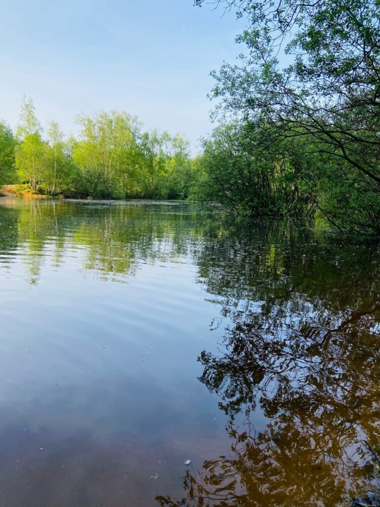 See Kiesgrube Tangstedt