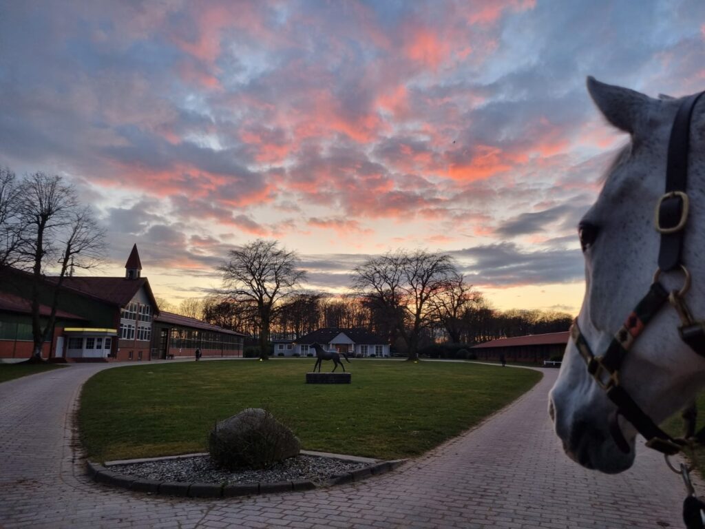 Hofrondell bei Sonnenuntergang mit malerischem Himmel