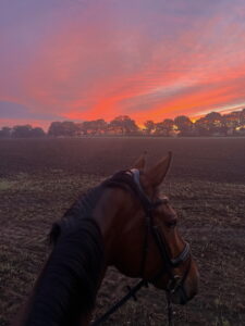 Sonnenuntergang roter Himmel Ausritt