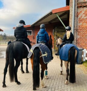 Start zum Ausritt mit drei Pferden Gut Tangstedt