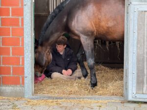 junger Mann beschäftigt sein Pferd in seiner Box