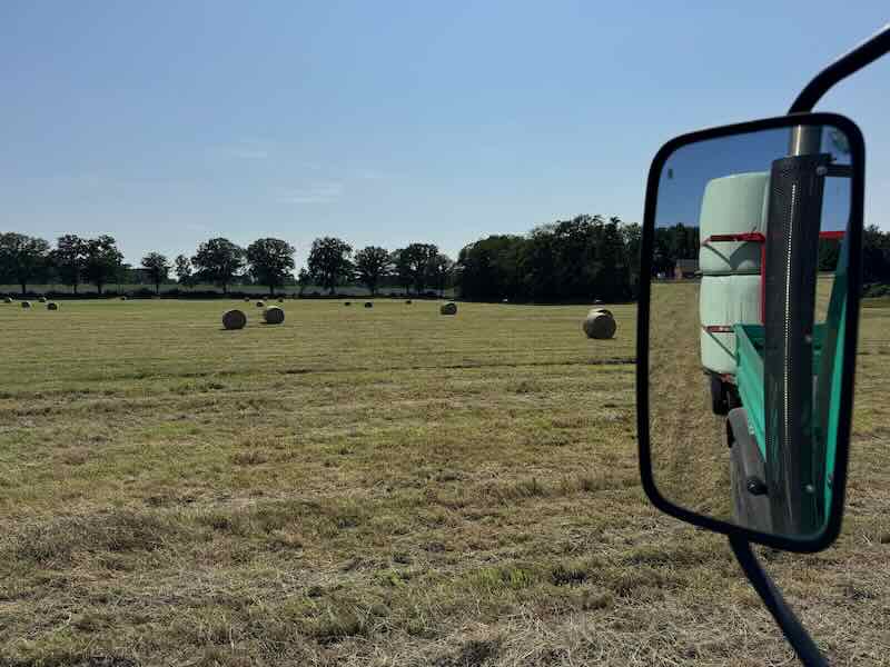 Ballen auf Koppel vor dem Wickeln Ernte 2025