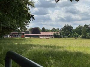 Hofstelle mit Pferden auf Sommerweide im Vordergrund