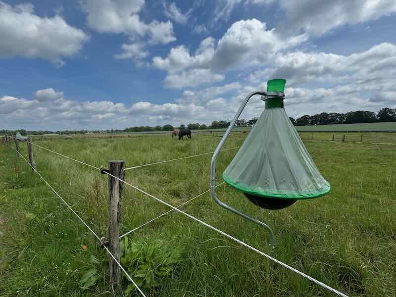 Sommerweiden für Kleingruppen mit Bremsenfalle im Vordergrund