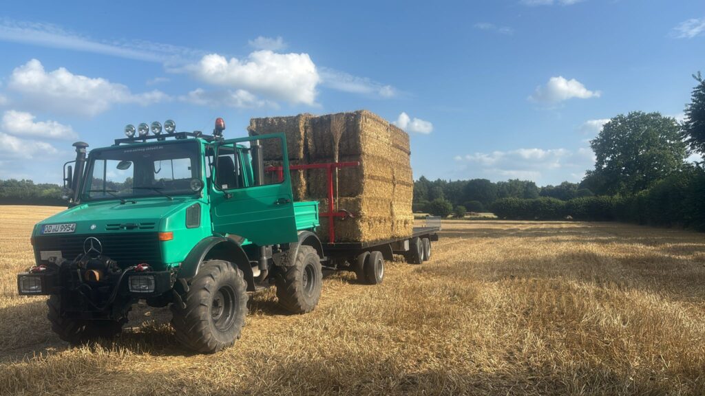 Strohernte im verregneten Sommer 2025 mit Unimog und Ballenwagen
