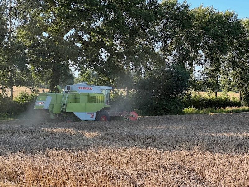 Claas Dominator 88 S bei der Strohernte 2025 auf einem Acker in Tangstedt