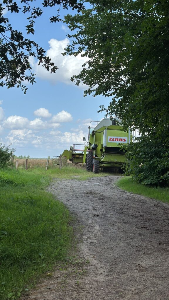 Mähdrescher auf dem Weg zum ersten Acker bei der Strohernte 2025
