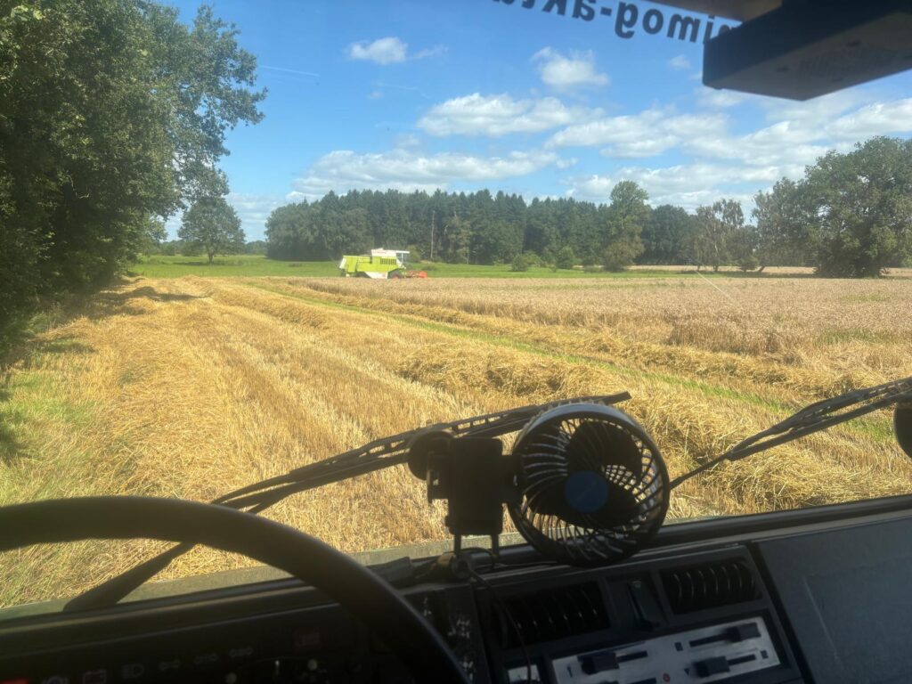 Mähdrescher bei der Strohernte 2025 vom Unimog U 1400 aus fotografiert