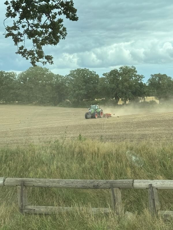 Rapsaussaat 2025-08 Feld vom Knick aus gesehen, auf dem Raps gedrillt wird