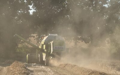 Impressionen aus der Strohernte 2025