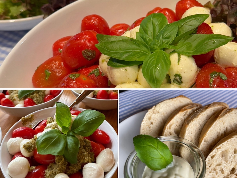 kleiner Tomate-Mozzarella-Salat mit einem Basilikum-Parmesan-Dressing und Brot