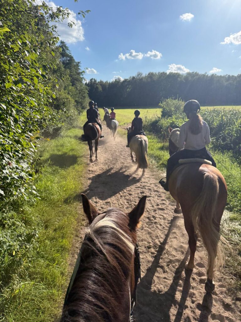 Ausritt der Teilnehmer der Jugendreitstunde auf einem Weg an der Moorkoppel